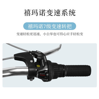 永久 通勤自行车男女24/26寸铝合金低跨度带车篮单车禧玛诺7级速变速城市代步车 QF011  24寸7变速 浅蓝色 .