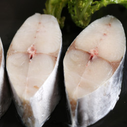 渔港冷冻渤海鲅鱼段马鲛鱼段700g