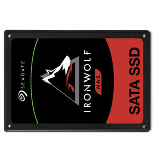 SEAGATE 希捷 酷狼IronWolf 110系列 SATA 固态硬盘 (SATA3.0)