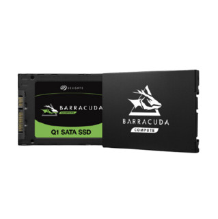 SEAGATE 希捷 酷鱼 Q1 SATA 固态硬盘 480GB (SATA3.0)