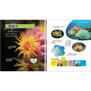 《动物家族大揭秘·群居动物大揭秘》