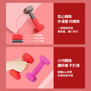 伽梵哑铃套装组合男士健身家用器材实心铁一对女士儿童小学练臂肌 浅紫色1KG*2/共2KG