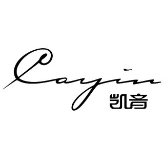 Cayin/凯音