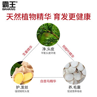 BAWANG 霸王 防脱洗发水洗护套装控油洗发露男洗头水洗头膏生发增发育发液 爆款育发套装单盒装（200ml）