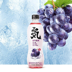 Genki Forest 元気森林 苏打气泡水夏黑葡萄味 480ml*12瓶