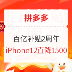 拼多多 百亿补贴2周年庆 主会场多少钱-什么值得买