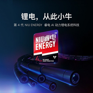 小牛电动 NIU 小牛电动车配件 MQi+/UQi+大锂包 增程电池B 48V 26Ah/42Ah 42Ah+电池延保