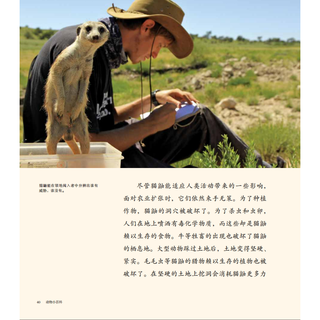 《动物小百科·猫鼬》（精装）