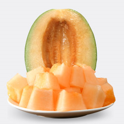 佑嘉木山东网哈密瓜175kg