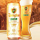 TSINGTAO 青岛啤酒 全麦 白啤 11度 500ml*12听