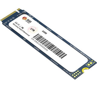 ZHIKE 挚科 A300 NVMe M.2 固态硬盘 1TB