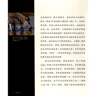 《动物小百科·斑马》