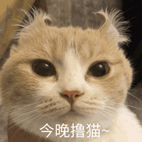 WU FANG ZHAI 五芳斋 猪肉粽140g*2个+彩豆粽100g*2个