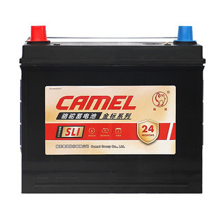 618预告：CAMEL 骆驼 SLI 6-QW-36MF L 汽车蓄电池（送四次洗车）