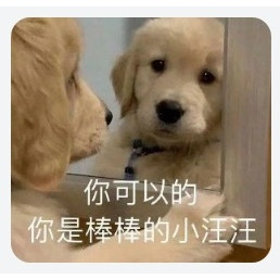 好价汇总：母婴开幕TOP 10，跟着买就完事儿