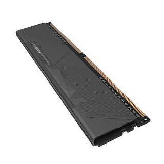 KLEVV 科赋 雷霆系列 DDR4 2666MHz 台式机内存 马甲条 黑色 8GB KD48GU880-26N160T
