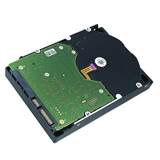 Western Digital 西部数据 金盘系列 3.5英寸 企业级硬盘 10TB（7200rpm、256MB）WD102VRYZ