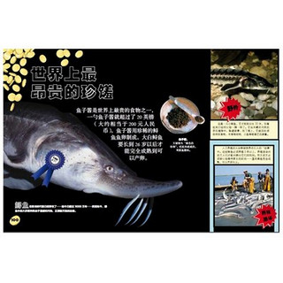 《DK书本科技馆·鱼和虫》（精装、套装共2册）