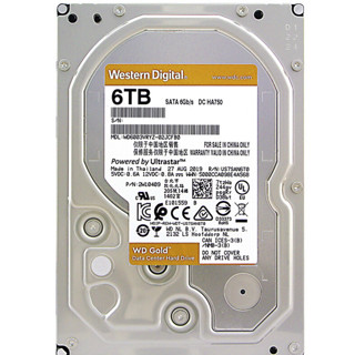 Western Digital 西部数据 金盘系列 3.5英寸 企业级硬盘 6TB（7200rpm、256MB）WD6003VRYZ