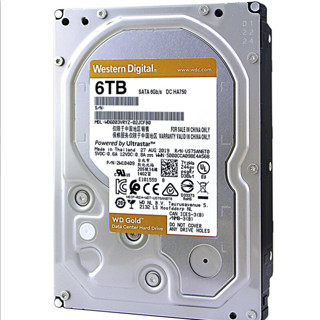 Western Digital 西部数据 金盘系列 3.5英寸 企业级硬盘 6TB（7200rpm、256MB）WD6003VRYZ