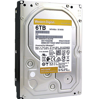 Western Digital 西部数据 金盘系列 3.5英寸 企业级硬盘 6TB（7200rpm、256MB）WD6003VRYZ