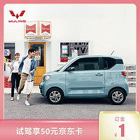 WULING 五菱汽车 五菱宏光MINIEV 试驾送50元京东卡