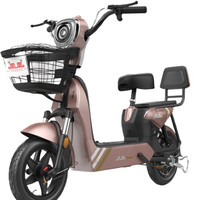 PHOENIX 凤凰 金鹰 电动自行车 TDT75Z 48V12A铅酸电池 玫瑰金 标配版