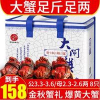 阳澄福记 大闸蟹现货 生鲜鲜活螃蟹礼盒 公3.4-3.7两/母2.4-2.7两 4对8只
