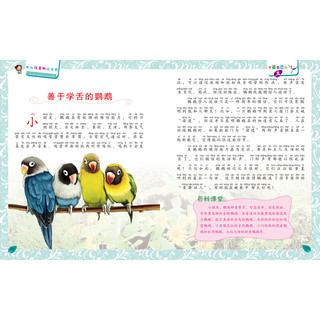《幼儿注音版大百科·千姿百态的鸟》