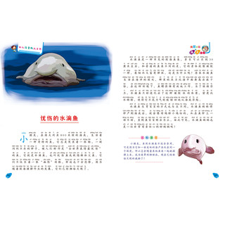 《幼儿注音版大百科·绚丽多彩海洋生物》
