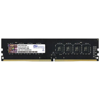 Team 十铨 DDR4 2400MHz 黑色 台式机内存 普条 8GB TED48G2400C16BK