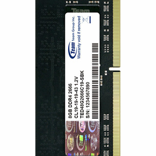 Team 十铨 DDR4 2666MHz 笔记本内存 普条 8GB TED48G2666C19-SBK