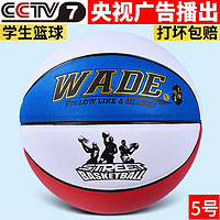 wade 正品韦德/wade 儿童5号篮球小学生室外水泥地 耐磨4号