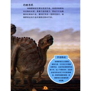 《3D发现之旅·3D恐龙王国：白垩纪1》