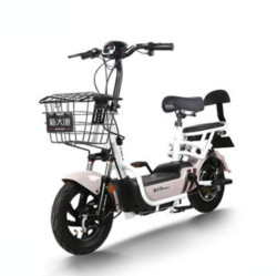 PALLA 新大洲 K1 新国标电动自行车 TDT588-4Z 48V12Ah铅酸电池 钻白