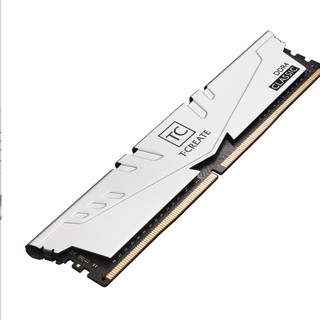 Team 十铨 开创者系列 DDR4 3200MHz 台式机内存 马甲条 银色 32GB 16GB*2 TTCCD432G3200HC22DC01