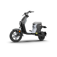 Ninebot 九号 B110P 电动自行车 48V30Ah锂电池 TDT007Z 暗夜黑绿