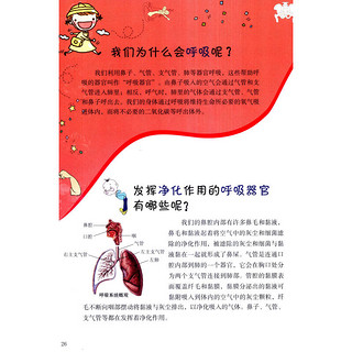 《科学故事丛书·生命的秘密》（套装共4册）