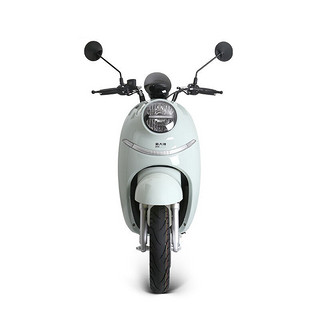 PALLA 新大洲 E1 电动摩托车 PR600DQT-4A 60V20Ah铅酸电池 冰清淡绿