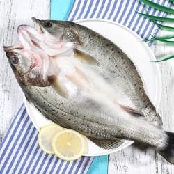 plus会员xianbohui鲜博汇三去开背白蕉海鲈鱼450400g