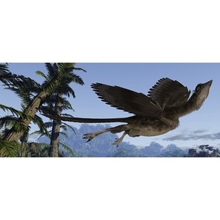 《我的第一本3D恐龙书·飞行霸主：称霸天空的敏捷猎手》