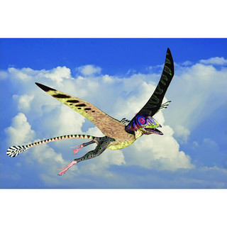 《我的第一本3D恐龙书·飞行霸主：称霸天空的敏捷猎手》