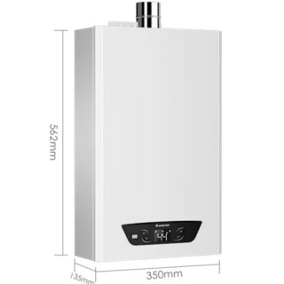 ARISTON 阿里斯顿 舒爱系列 JSQ24-Si9FD 燃气热水器 12L