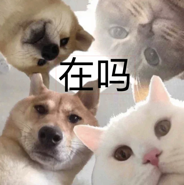 618开幕倒计时!绝对值的车还能上!