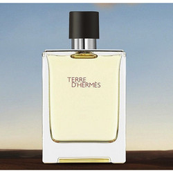 HERMÈS 爱马仕 大地男士纯正香水 3件套（淡香水100ml+便携装12.5ml+须后水40ml）