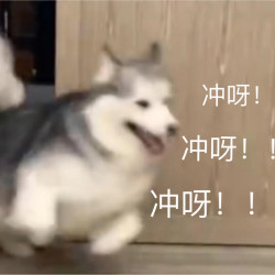 年货零食礼盒好价汇总，快来收藏～
