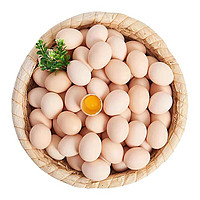 京东PLUS会员：静益乐源 农家散养土鸡蛋 10枚装