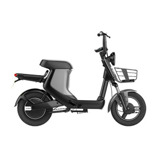 sunra新日xc1电动自行车tdtzd03848v20ah锂电池星空灰