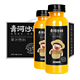 PLUS会员：new boundaries 新边界 沙棘果汁饮料 315ml*10瓶