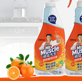 Mr Muscle 威猛先生 厨房清洁剂 455g+455g 清新柑橘